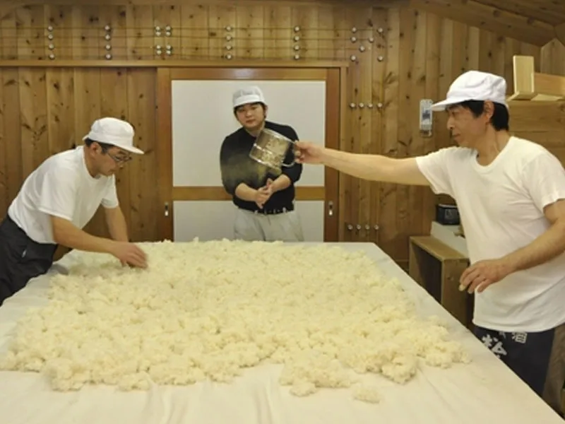rượu sake hakurakusei tokubetsu junmai rượu sake hakurakusei tokubetsu junmai