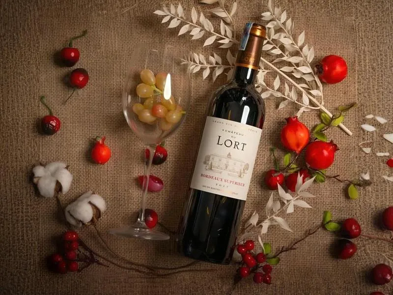 rượu vang pháp chateau du lort bordeaux superieur