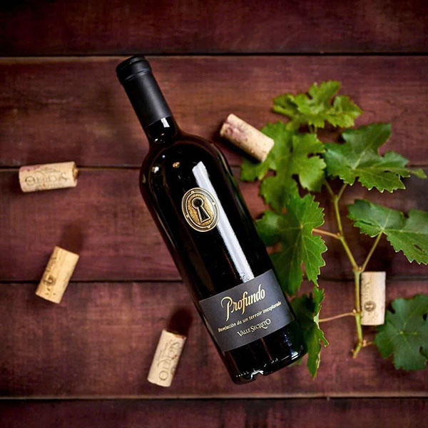 top 10 vang đỏ chile giá rẻ trên 50k top 10 vang đỏ chile giá rẻ trên 50k