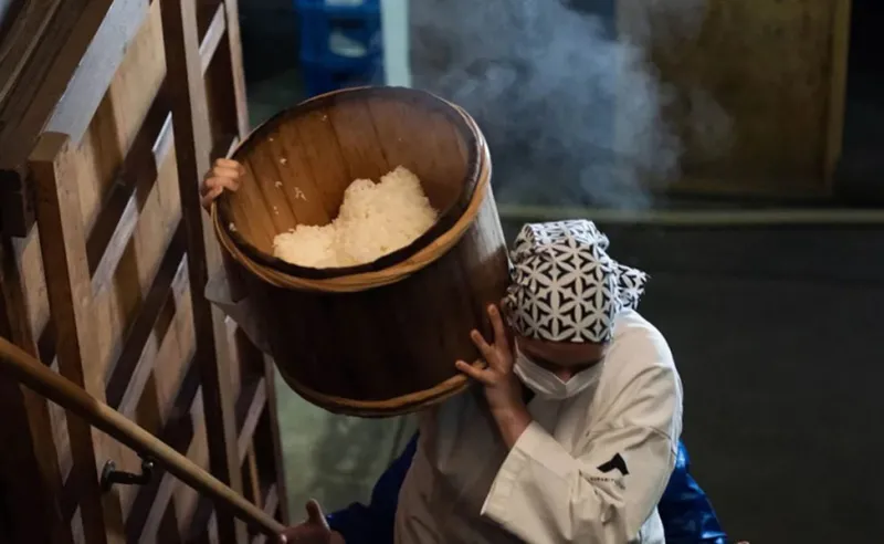 Combo 3 chai sake daishichi horeki junmai daiginjo combo 3 chai sake daishichi horeki junmai daiginjo