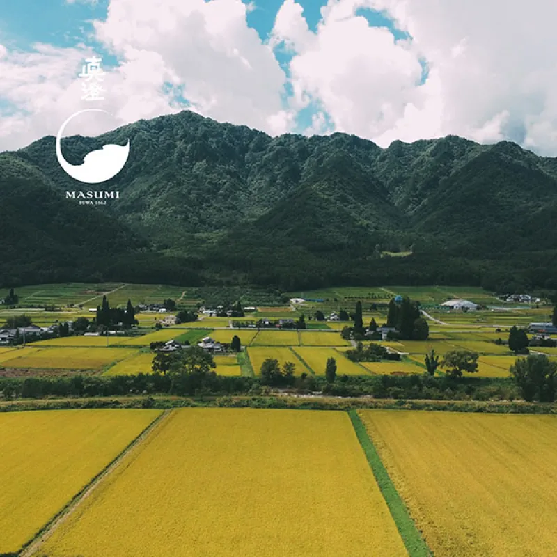 combo 4 chai rượu sake masumi 720ml;