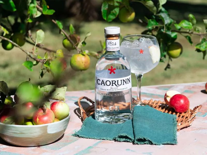 caorunn small batch scottish gin caorunn small batch scottish gin