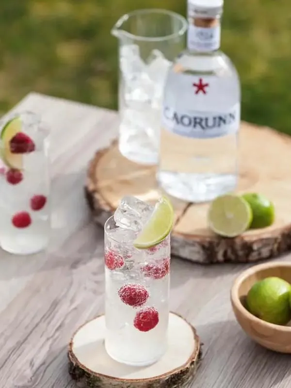 caorunn small batch scottish gin caorunn small batch scottish gin
