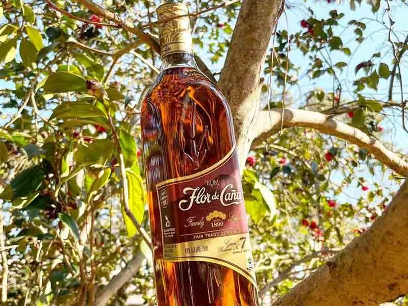 flor de cana 7 năm
