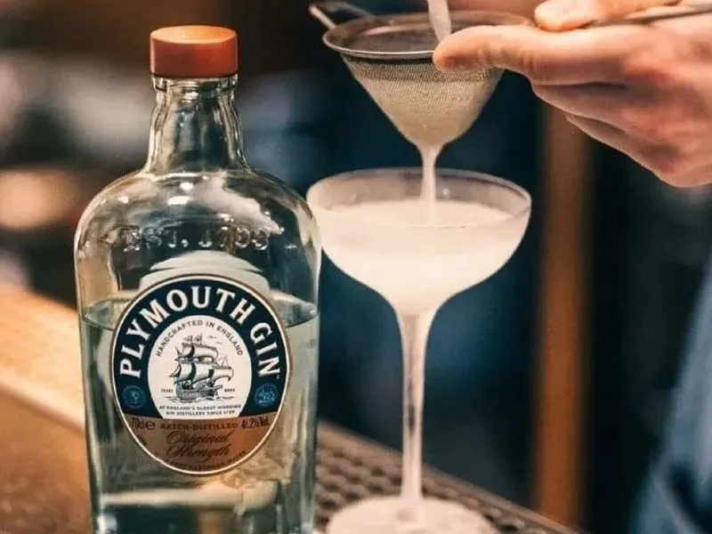gin plymouth