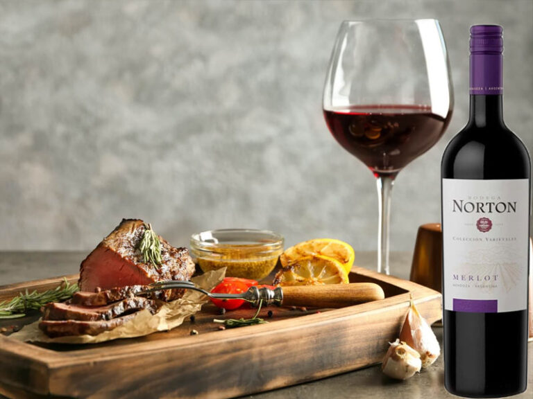 rượu argentina norton merlot