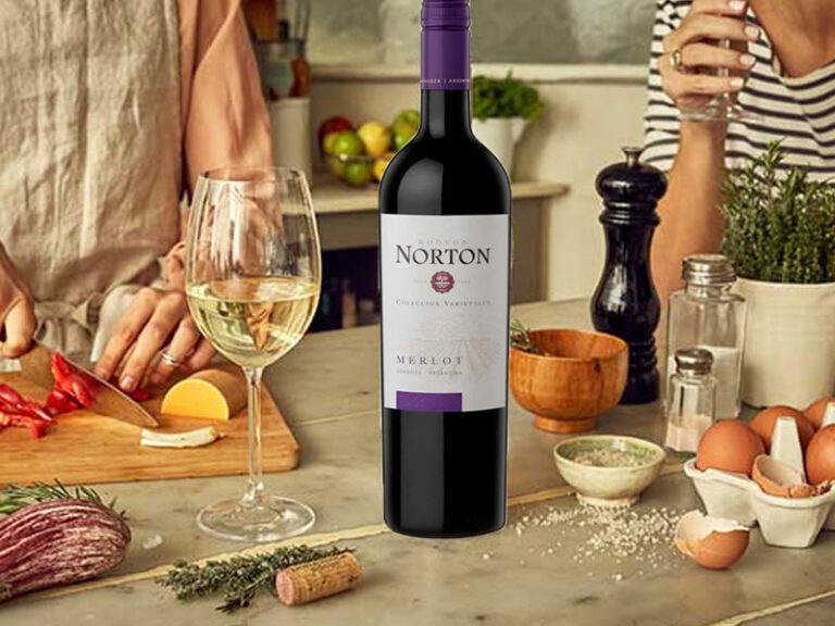 rượu argentina norton merlot