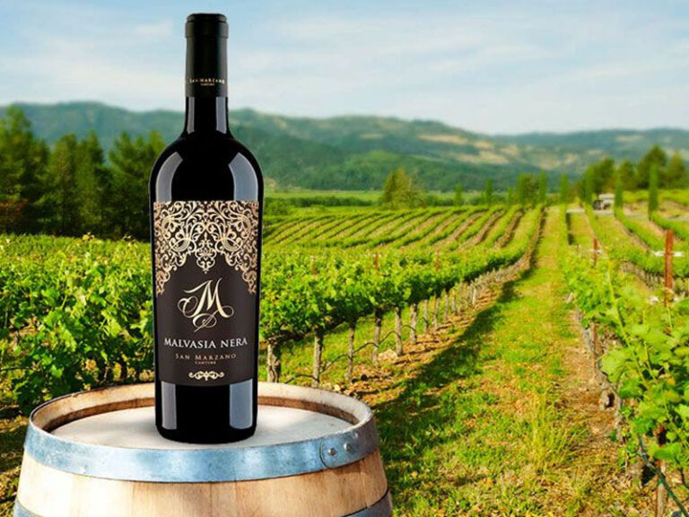 rượu vang m malvasia nera