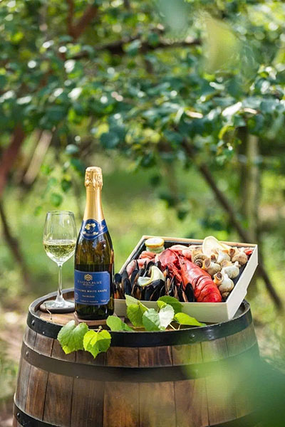 rượu vang nổ giá rẻ: top 5 lựa chọn tuyệt vời cho mọi dịp! rượu vang nổ giá rẻ: top 5 lựa chọn tuyệt vời cho mọi dịp!