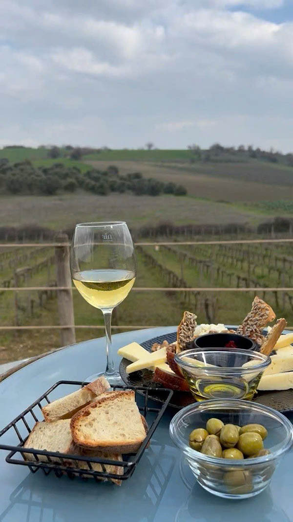 cách chọn rượu vang trắng giá rẻ, chất lượng