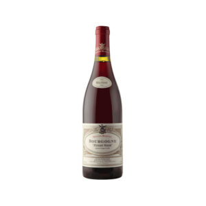 pinot noir bourgogne domaine seguin manuel