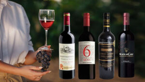 rượu vang đỏ giá rẻ dưới 200k 2026: top lựa chọn ngon nhất!