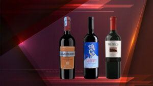 rượu vang giá rẻ dưới 100k ngon nhất 2025? gợi ý cho bạn!