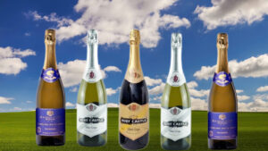 rượu vang nổ giá rẻ: bí quyết chọn ngon, chuẩn cho tiệc!