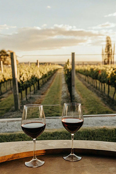 Rượu vang pháp giá rẻ: Top 5 chai ngon nhất 2026 chỉ từ 200k Rượu vang pháp giá rẻ: Top 5 chai ngon nhất 2026 chỉ từ 200k