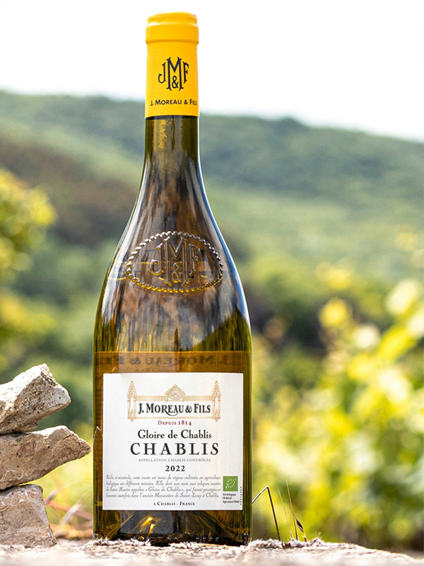 rượu vang pháp j moreau & fils gloire de chabli