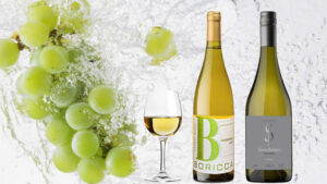 rượu vang trắng giá rẻ dưới 300k: top gợi ý ngon nhất 2026