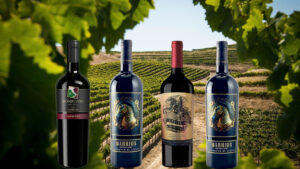 Rượu vang đỏ giá rẻ dưới 200k 2026: Top lựa chọn ngon nhất!