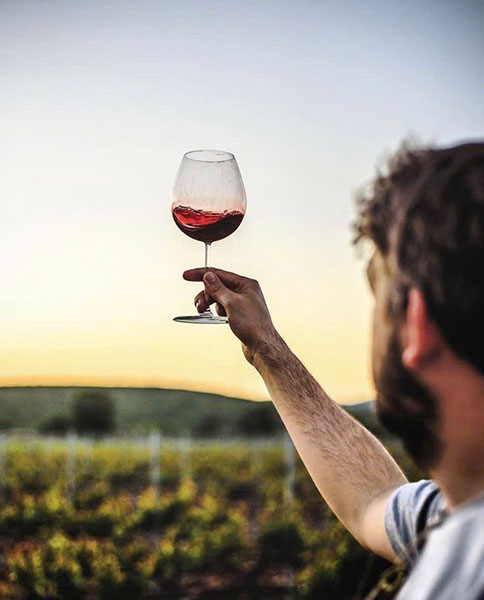 tại sao rượu vang giá rẻ được yêu thích nhất 2026? tại sao rượu vang giá rẻ được yêu thích nhất 2026?