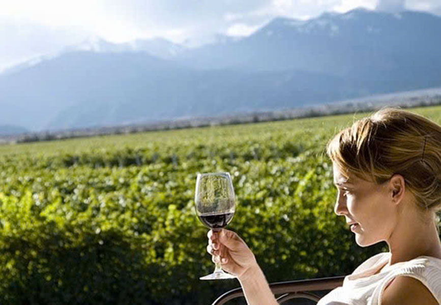 tại sao rượu vang giá rẻ được yêu thích nhất 2026? tại sao rượu vang giá rẻ được yêu thích nhất 2026?