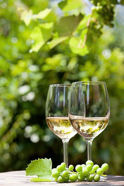 top rượu vang trắng giá rẻ dưới 300k ngon nhất 2026