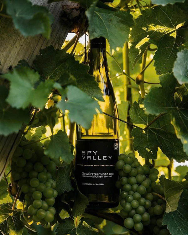 uống rượu vang trắng giá rẻ, chất lượng