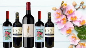 vang ngon giá rẻ dưới 200k mà vẫn chất lượng