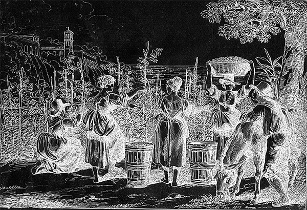 bí quyết chọn hộp quà tết vang 2026 vừa túi tiền