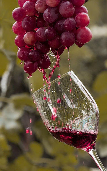 cách chọn rượu vang ý ngon, giá rẻ