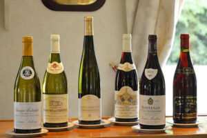 mua rượu vang pháp giá rẻ ở đâu uy tín tại việt nam?