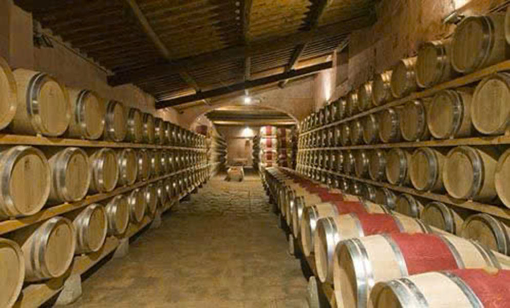 rượu vang ý giá rẻ, ngon chuẩn vị