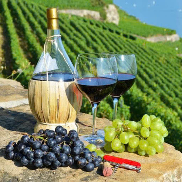 top 5 chai rượu vang pháp dưới 500k ngon nhất định phải thử!