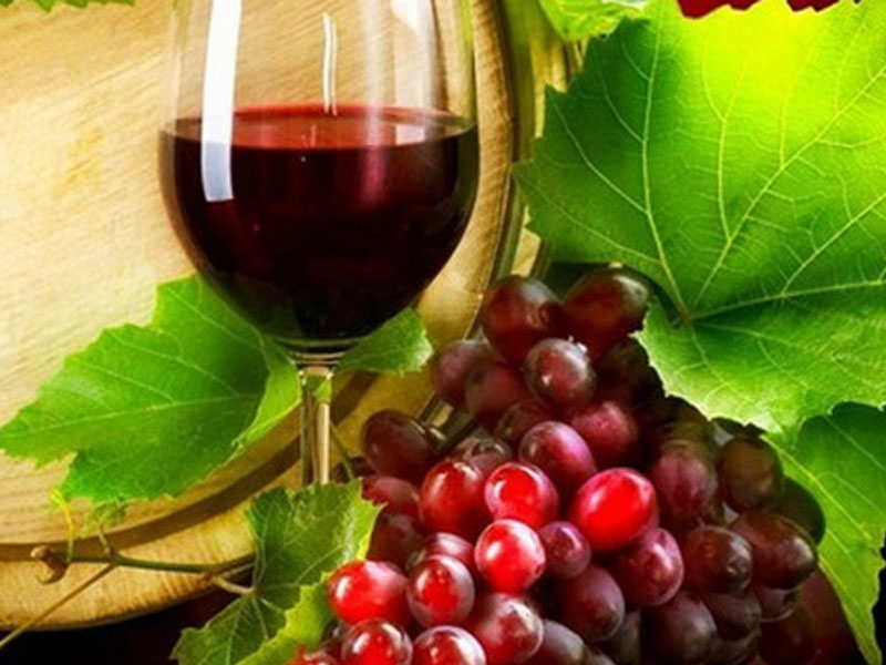 vang los jaivas reserva