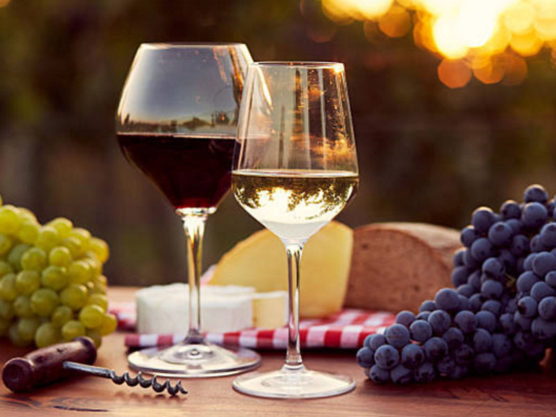 vang p primitivo (chai đen)