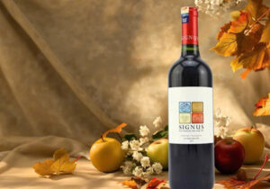 rượu vang đỏ giá rẻ 200k: gợi ý tốt nhất cho bạn