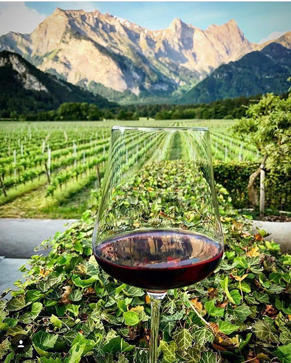 rượu vang đỏ giá rẻ 200k: gợi ý tốt nhất cho bạn