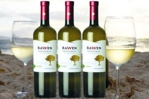 rượu vang trắng dưới 200k: lựa chọn hoàn hảo mùa hè