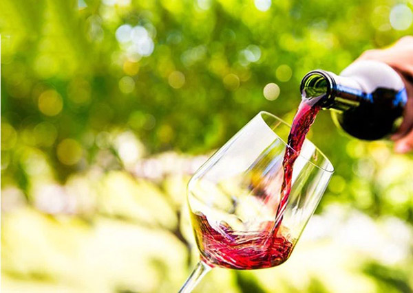 top 10 rượu vang ý giá rẻ ngon khó cưỡng dưới 300k