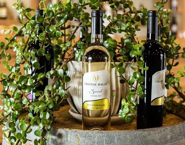 top 7 rượu vang ngon dưới 200k không nên bỏ lỡ