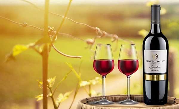 top 7 rượu vang ngon dưới 200k không nên bỏ lỡ