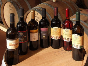 top 10 chai rượu vang giá rẻ dưới 100k ngon nhất